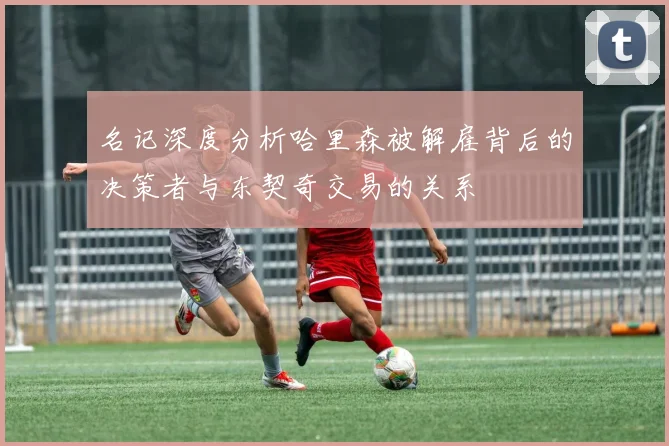 名记深度分析哈里森被解雇背后的决策者与东契奇交易的关系
