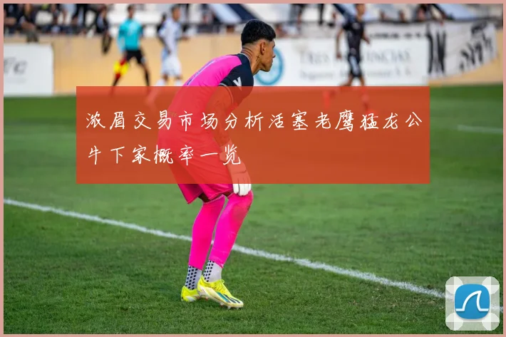 浓眉交易市场分析活塞老鹰猛龙公牛下家概率一览