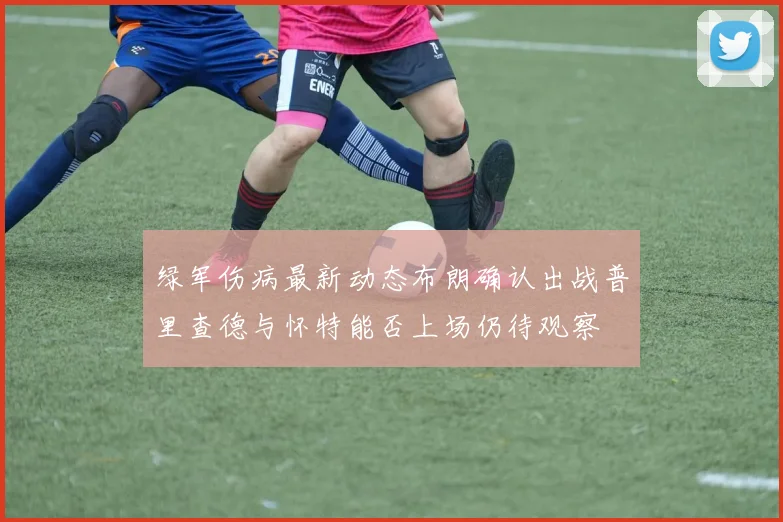 绿军伤病最新动态布朗确认出战普里查德与怀特能否上场仍待观察