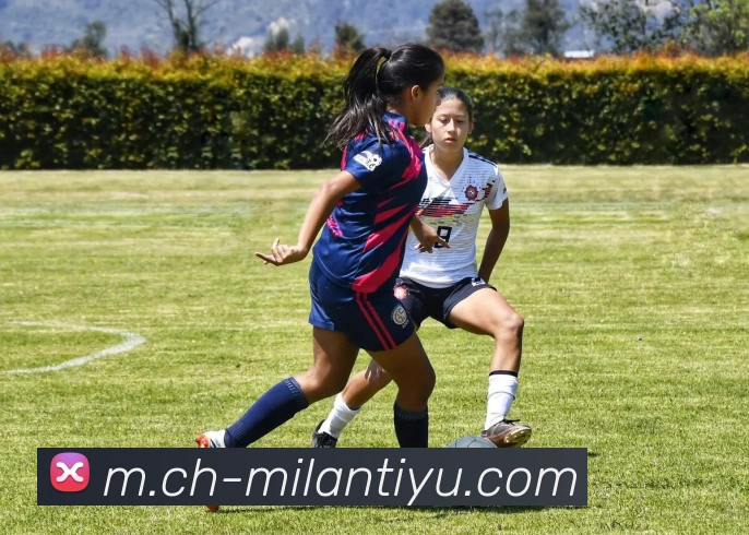 米兰体育服务体系